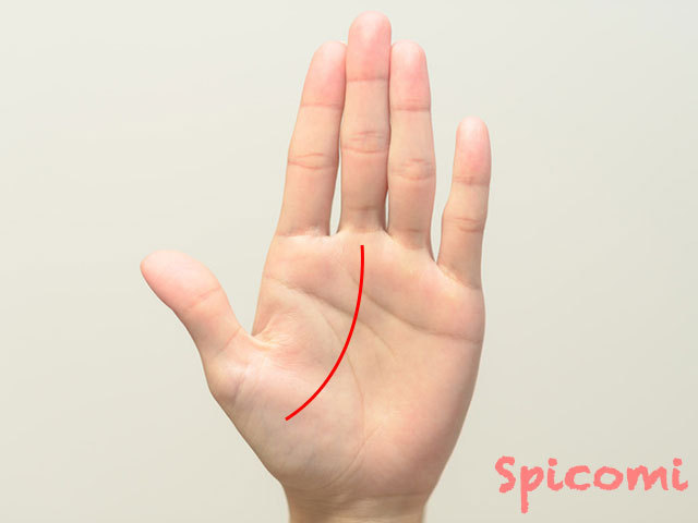 親指側の金星丘から伸びる運命線・カーブ状