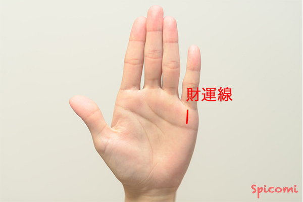 ［手相占い］小指の下にある縦線「財運線」