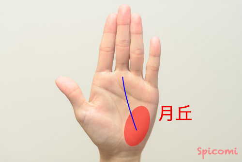 ［手相占い］運命線が月丘から伸びている