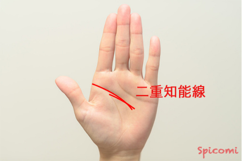 ［手相占い］２本の知能線（頭脳線）が交差している