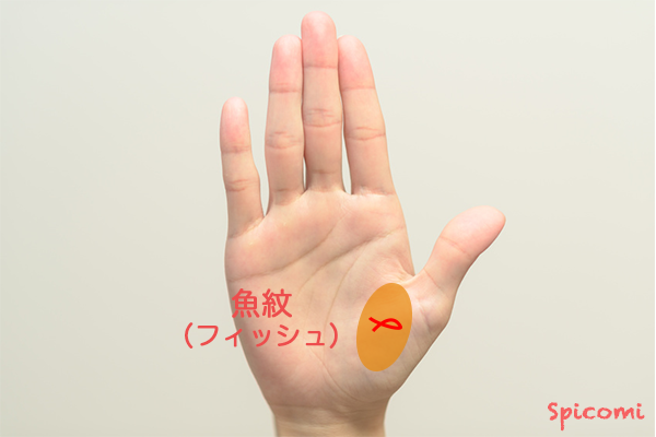 ［手相占い］金星丘にフィッシュ（魚紋）がある