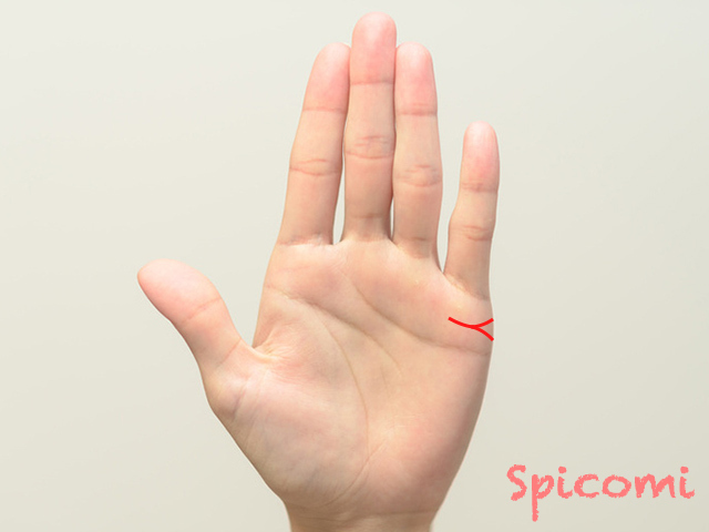 結婚線の根元が枝分かれ