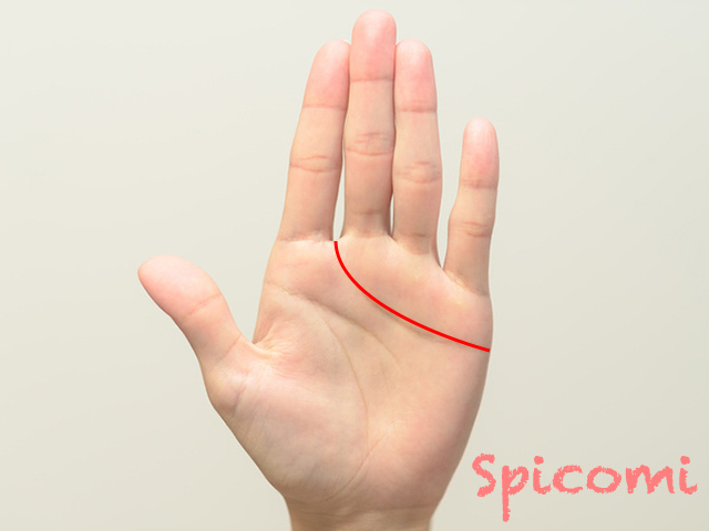 6. 終点が人差し指と中指の間に入り込んでいる感情線