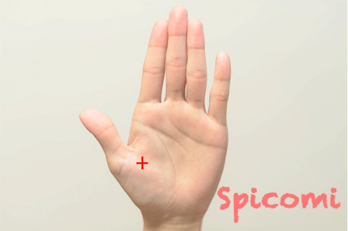 クロス（十字紋・バツ印）が親指の付け根（金星丘）にある