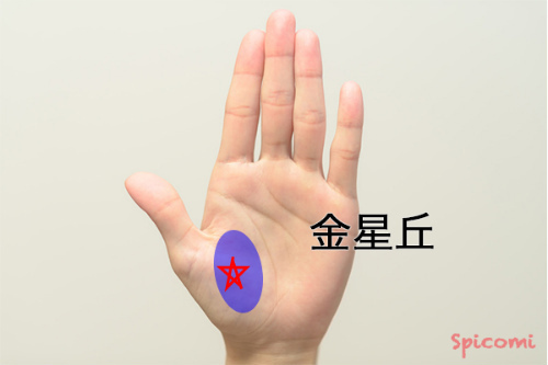 ［手相占い］金星丘に五芒星がある場合