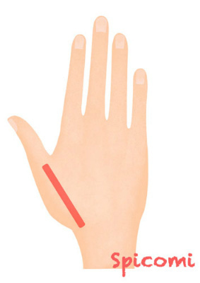 ［ほくろ占い］手の甲で右手親指の延長線上にあるほくろ