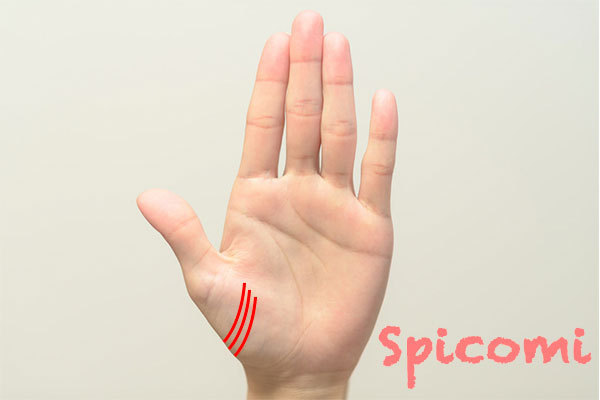 陰徳線が左手にある