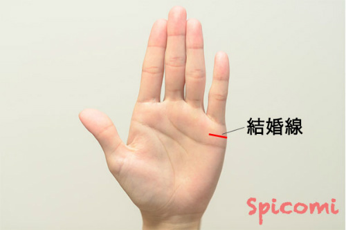 結婚線の意味と見方［右手左手両手別］