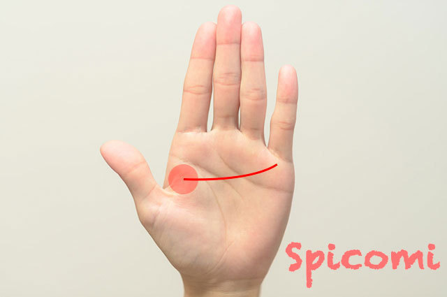 第一火星丘から水星丘(小指下)に伸びる財運線