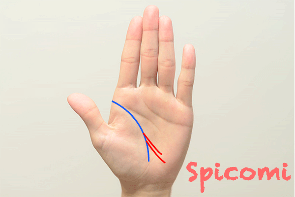 旅行線が2本ある