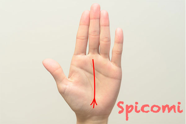 運命線の起点・先端（下）が三又・3本に分かれている