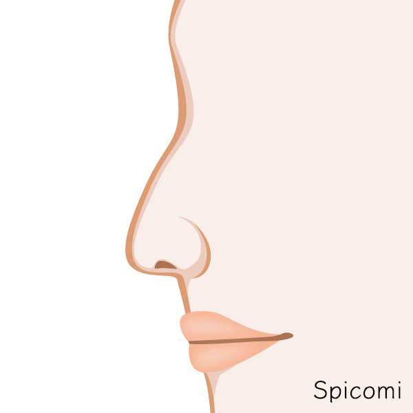 鷲鼻（かぎ鼻）［鼻の形の種類診断］