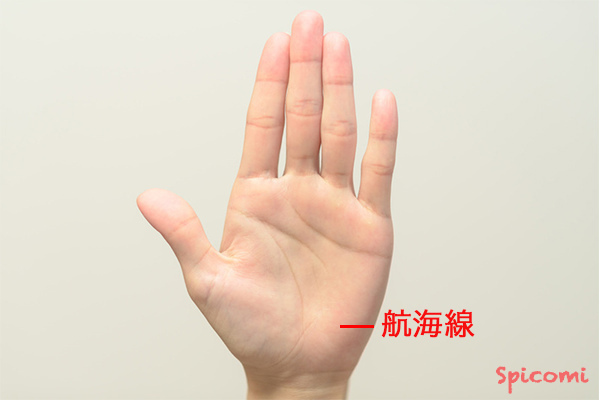 ［手相占い］月丘下方の航海線