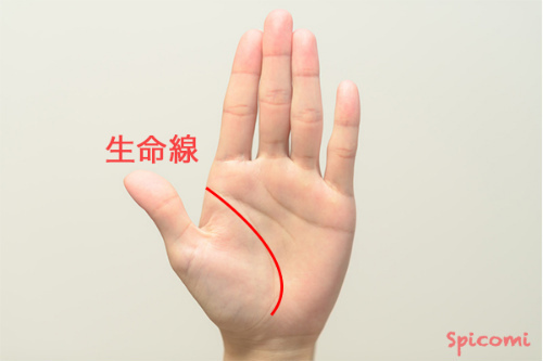 ［手相占い］生命線の下の方が張り出している