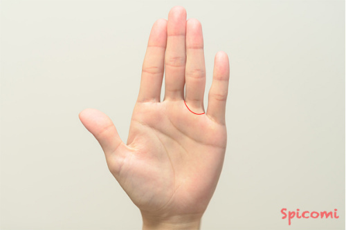 ［手相占い］太陽環が薄い