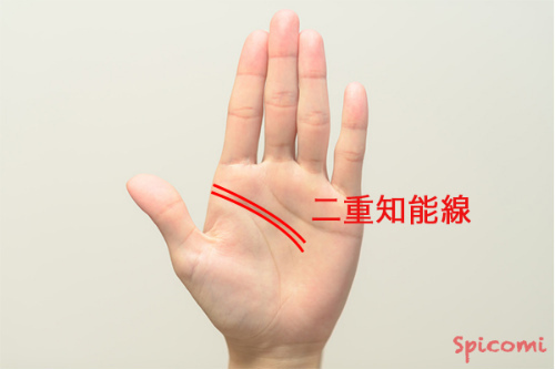 ［手相占い］２本の知能線（頭脳線）がピッタリと同じ長さになっている