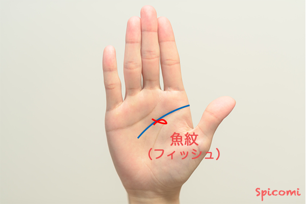 ［手相占い］知能線にフィッシュ（魚紋）が接している