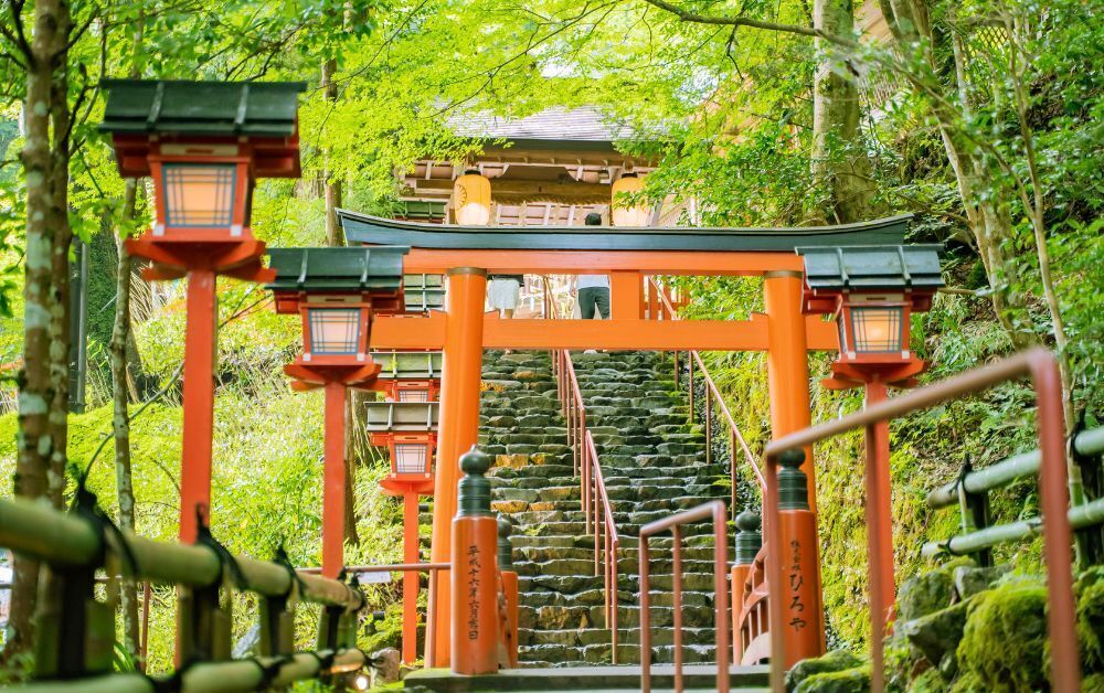 おみくじ 神社
