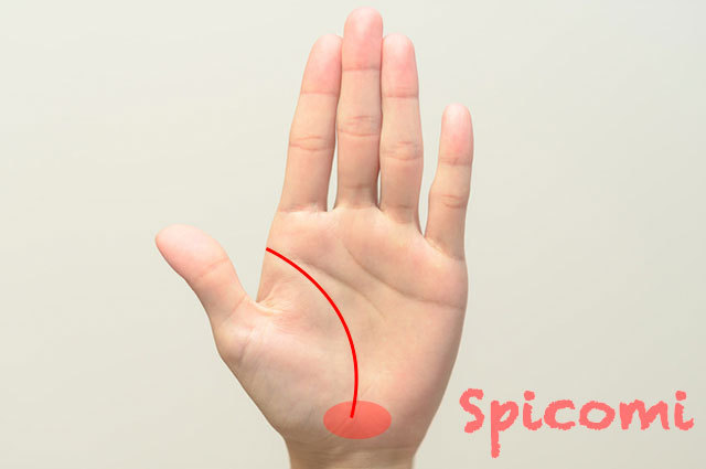 地丘まで伸びる生命線