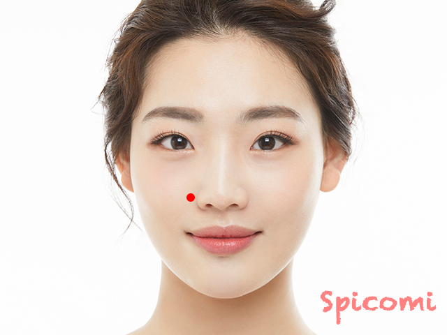 鼻の横のほくろ