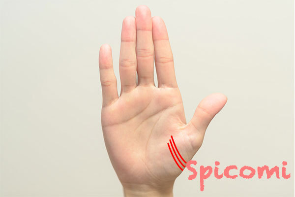 陰徳線が右手にある