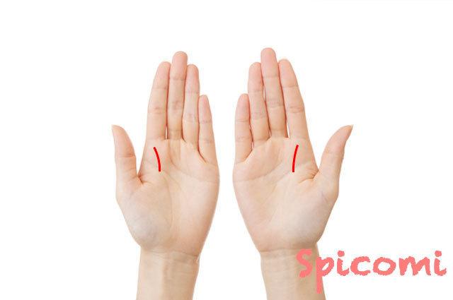 両手に希望線がある