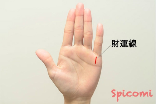 財運線の意味と見方［右手左手両手別］