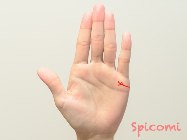 7. 結婚線が複数に枝分かれしている