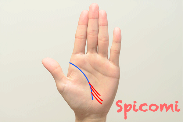 旅行線が3本以上複数ある