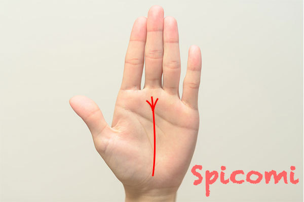 運命線の終点・末端（上）が三又・3本に分かれている