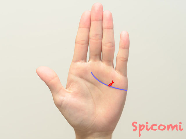 感情線にフィッシュがある