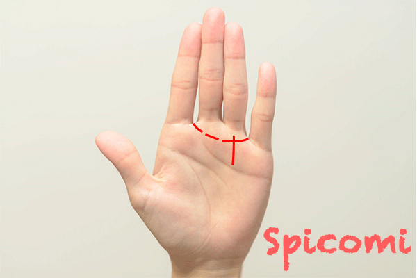 切れ切れの金星帯に太陽線が横切っている