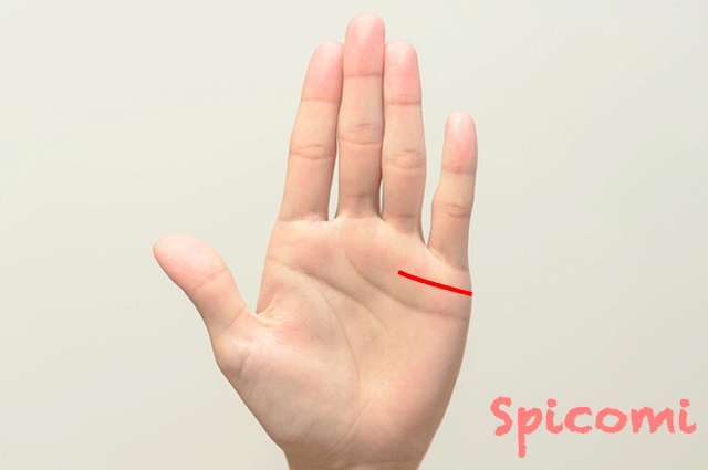 結婚線が１本濃く長くなっている