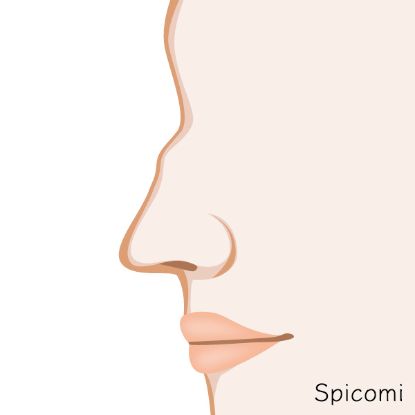 ローマ鼻［鼻の形の種類診断］