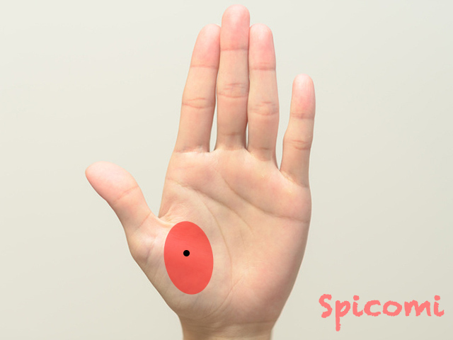 金星丘にほくろがある