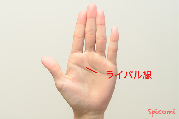 ［手相占い］ライバル線