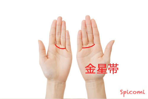 ［手相占い］金星帯（金星環）が両手に現れている