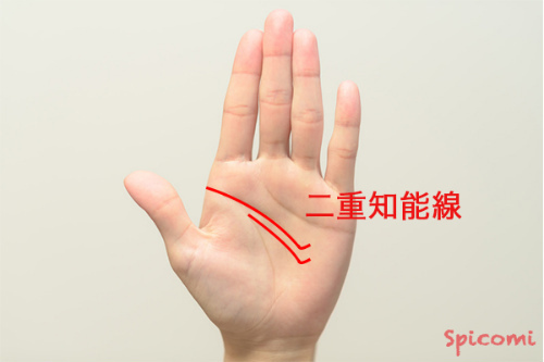 ［手相占い］二重知能線（二重頭脳線）の終点が上向きになっている