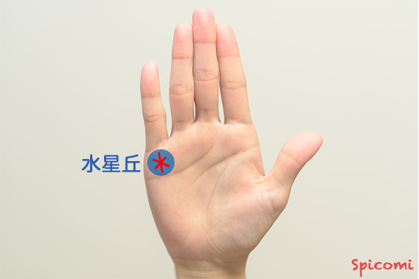 ［手相占い］星紋（スター）が水星丘にある