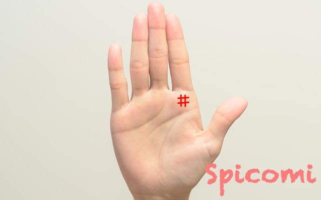 右手の聖職紋の意味