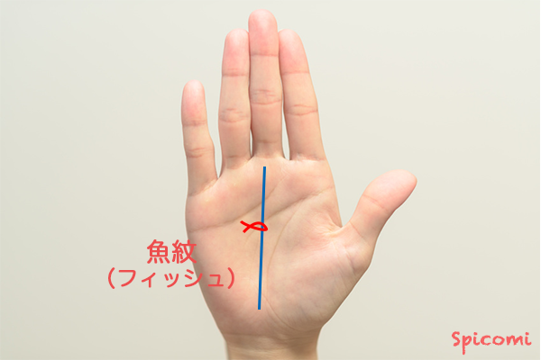 ［手相占い］運命線にフィッシュ（魚紋）が接している