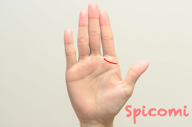 マネジメント線が右手にある