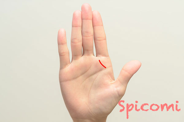 右手のリーダー線