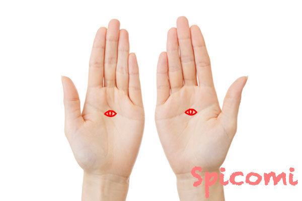 ファティマの目が両手にある