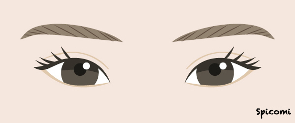 アジア人型の目の性格・運勢［目の形の種類・人相占い］