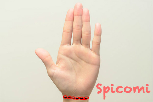 手相占いで手首線が鎖状