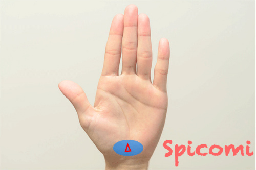 地丘に三角紋がある