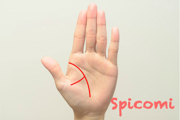 生命線から枝分かれした線が親指側に向かっている