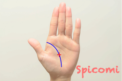 クロス（十字紋・バツ印）が生命線上にある