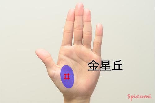 ［手相占い］金星丘に四角紋（スクエア）がある場合